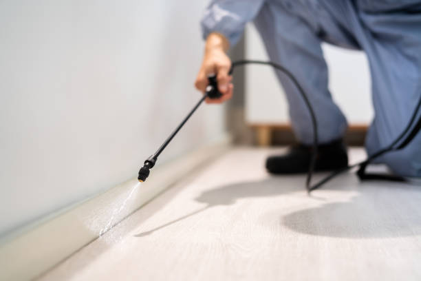 Licensed Pest Control service in Sheffield, OH - Show Me Pest Control